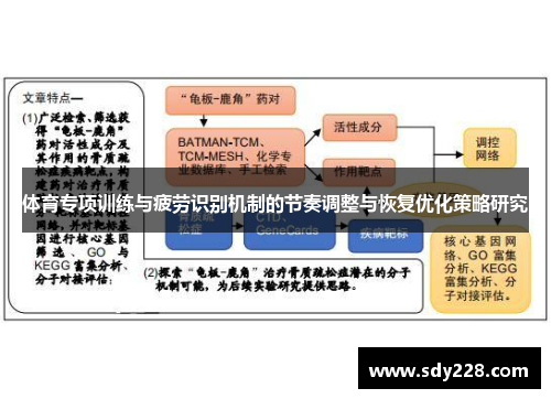 体育专项训练与疲劳识别机制的节奏调整与恢复优化策略研究
